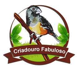 Criadouro Fabuloso Coleiro Trinca-Ferro São Gonçalo/RJ